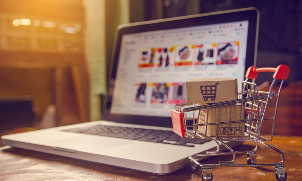How Will You Earn Profit Through E-Commerce Websites?